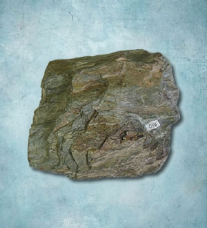 gypsum-suppliers-in-neyveli-1